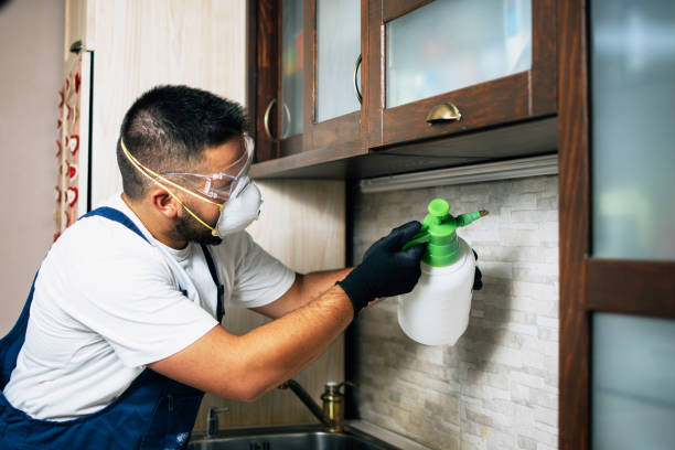 Best Exterminator Services  in Yuipa, CA