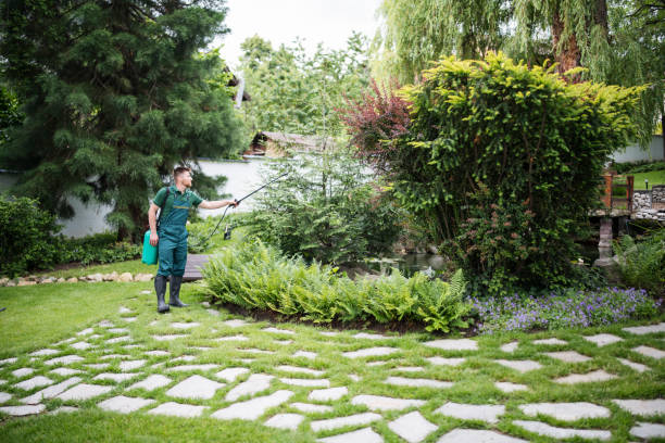Best Affordable Pest Control Services  in Yuipa, CA