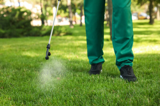 Best Pest Control for Restaurants  in Yuipa, CA
