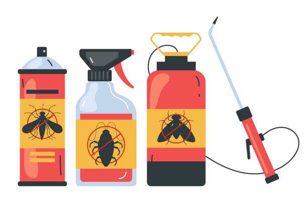 Best Affordable Pest Control Services  in Yuipa, CA