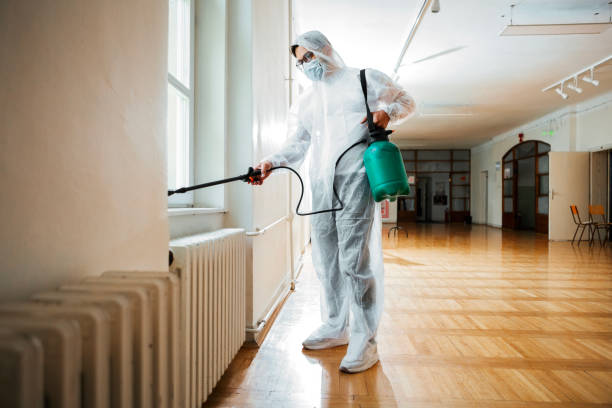 Best Rat Extermination Near Me  in Yuipa, CA