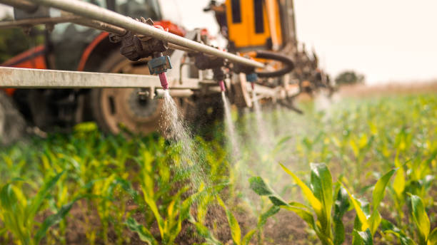 Best Pest Control Near Me  in Yuipa, CA