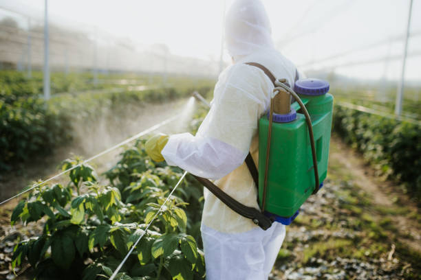 Best Affordable Pest Control Services  in Yuipa, CA